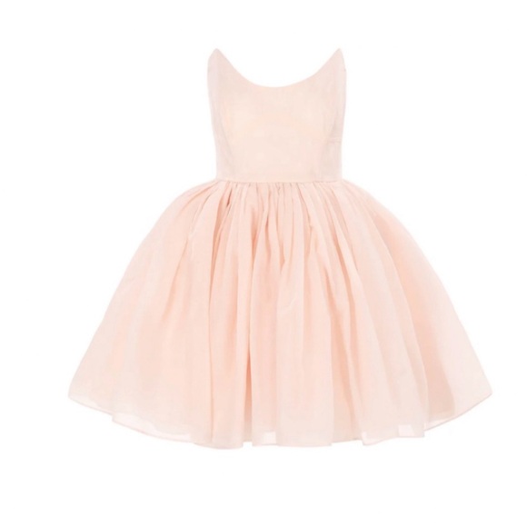 NWT Selkie The Blush Veuve Mini Dress - Picture 2 of 5